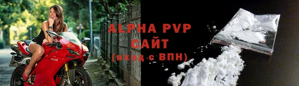 МДПВ Бородино