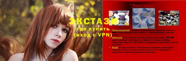 МДПВ Бородино