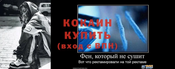 МДПВ Бородино