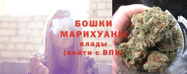МДПВ Бородино